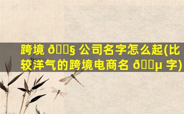 跨境 🐧 公司名字怎么起(比较洋气的跨境电商名 🌵 字)